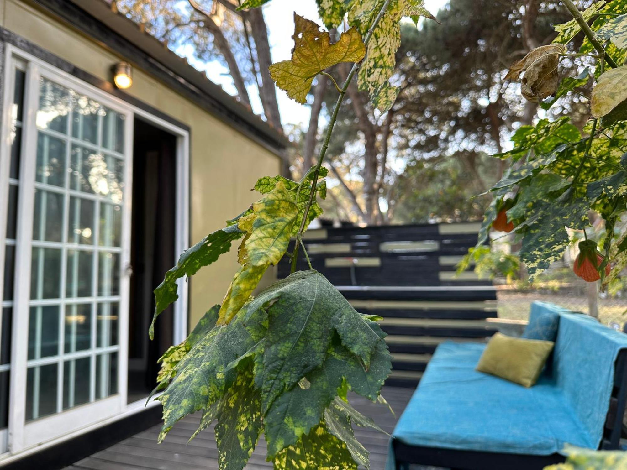 Eco-Friendly Beach House Sesimbra Luaran gambar