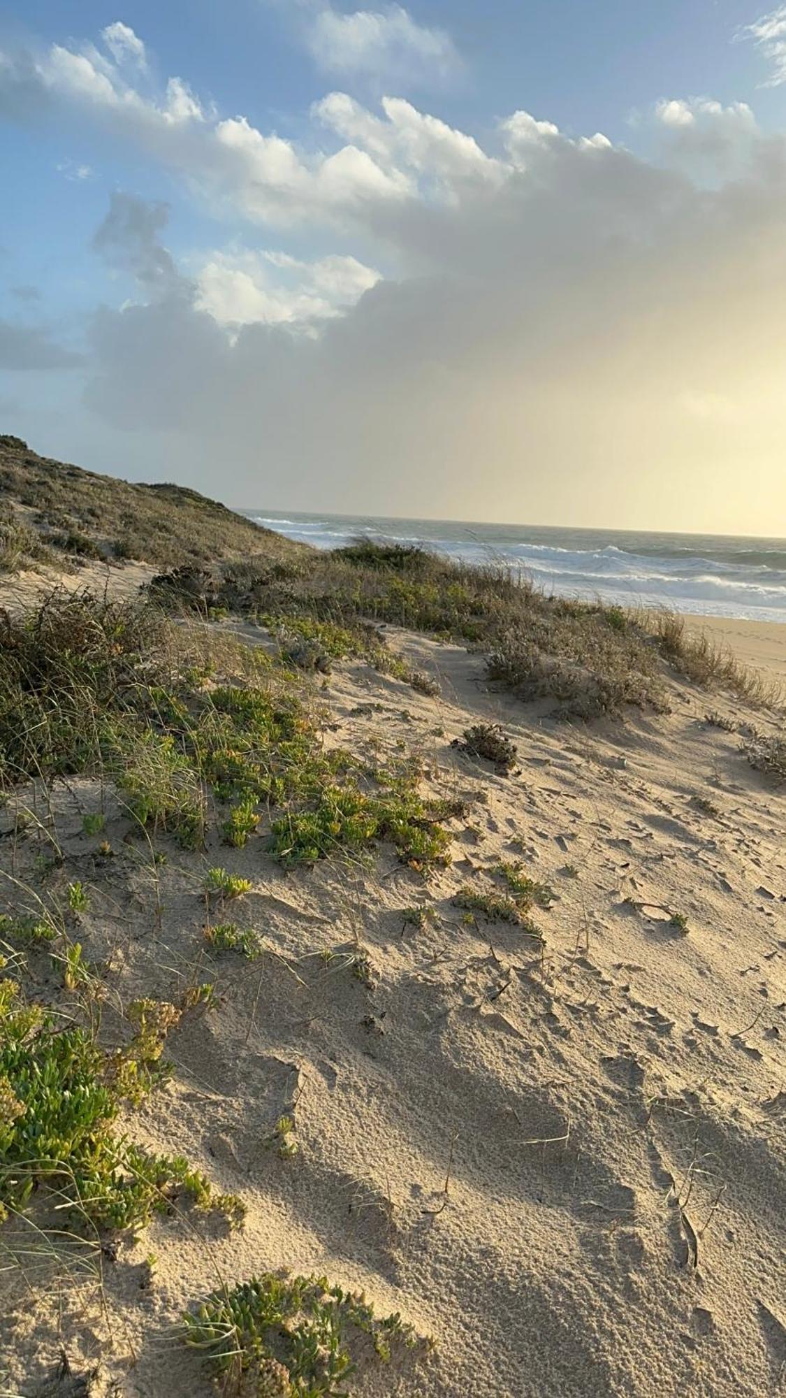 Eco-Friendly Beach House Sesimbra Luaran gambar