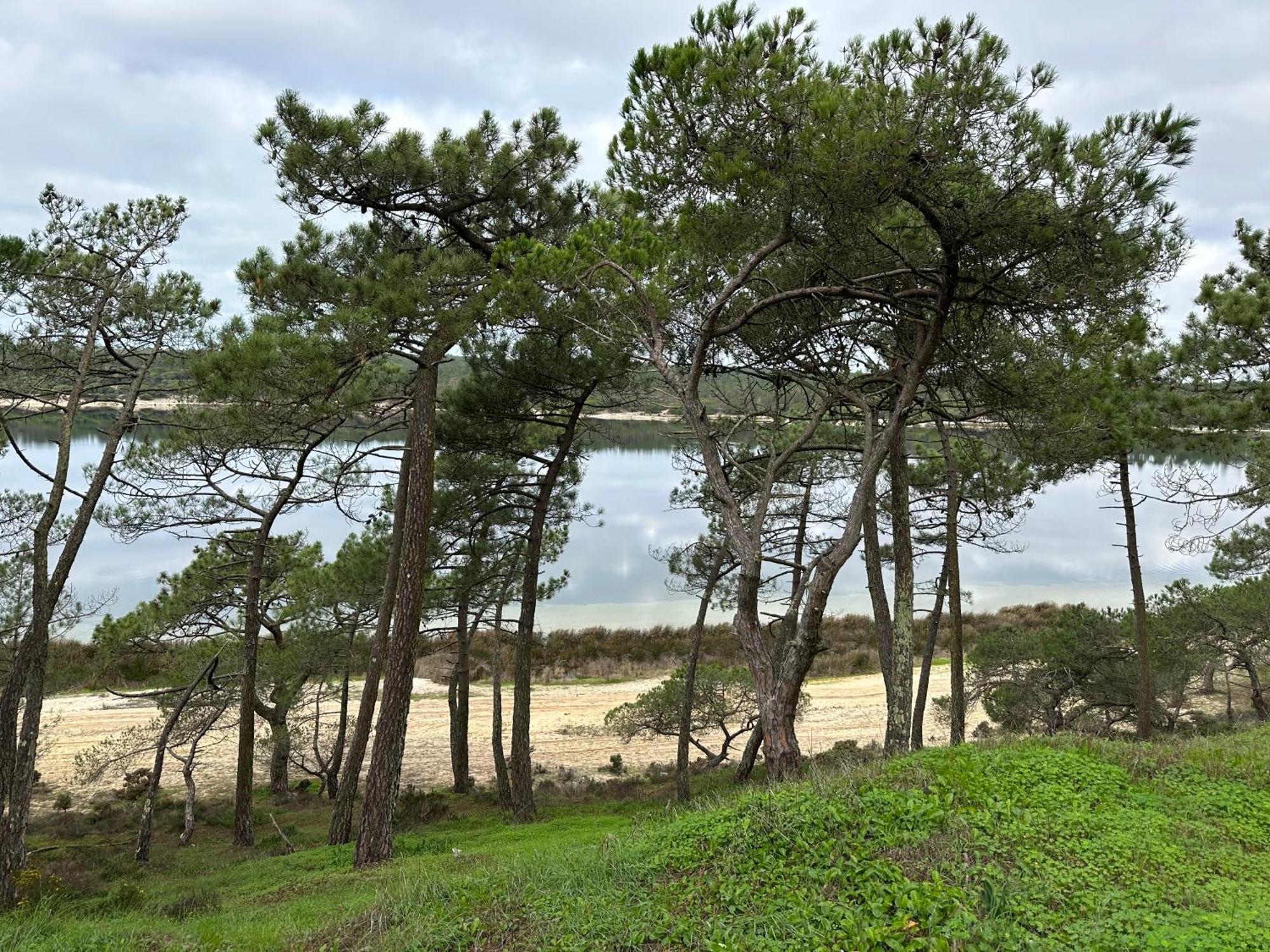 Eco-Friendly Beach House Sesimbra Luaran gambar