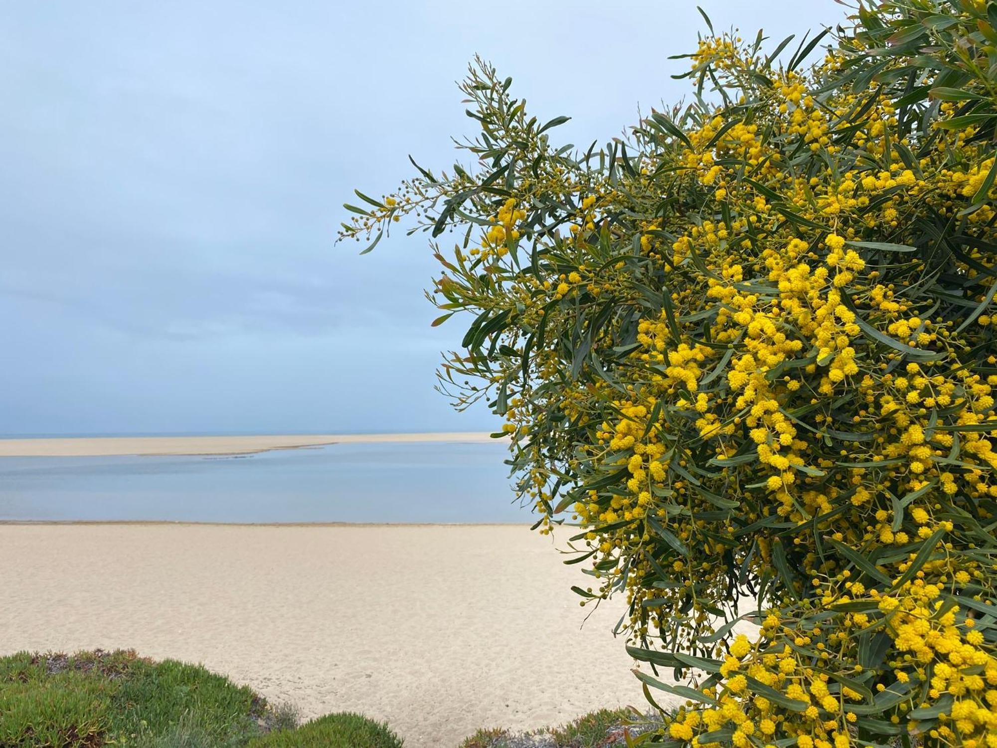 Eco-Friendly Beach House Sesimbra Luaran gambar